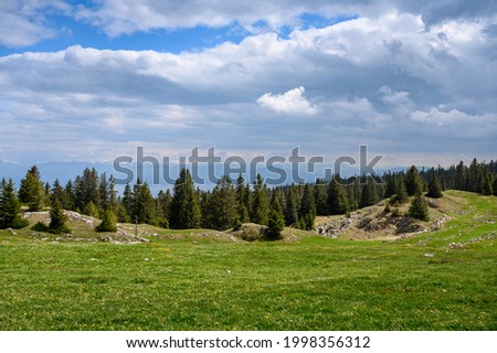 typical landscape in the swiss jura with a meadow and forest near Mont Tendre Photo stock © 