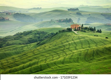Typical landscape of Tuscany landscape, Italy