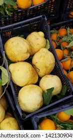 Typical Lemons To Make Limoncello