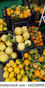 Typical Lemons To Make Limoncello