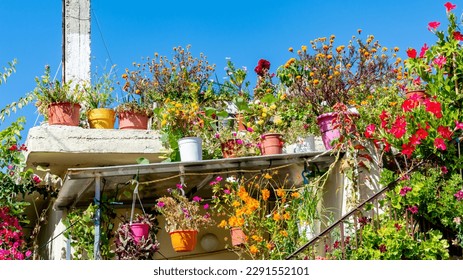 Typical Mediterranean white house decorated with a bunch of beautiful potted plants and a bright blue sky in the background