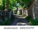 Typical narrow street in spring in the slopes of the Montagne de Beaune, Burgundy, France. English : Beaune Mountain. Traditional stone walls protecting domestic houses. Trees. Chiroscuro.