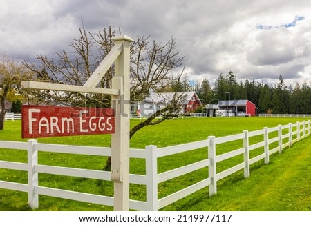Typical North American Country Farm House with white fence in overcast day. Farm yard with the house and red barn. Travel photo, selective focus, nobody
