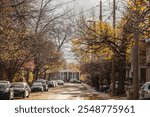 Typical north American residential street in autumn in Centretown, Ottawa, Ontario, on an autumn afternoon featuring features tree-lined sidewalks with fall foliage reflecting Canadian suburban life.