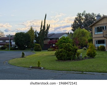 Typical North American Suburban Street With Detached Homes And Grass Lawns