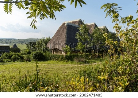 Typical outoor hut lodging at a safari lodge accomidations for toursts, in Uganda, with thatched roof
