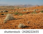 Typical red gravelly terrain, etendeka, namibia, africa