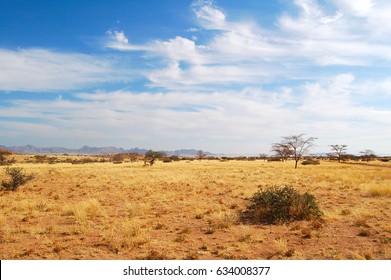 170,602 Savannah grass Images, Stock Photos & Vectors | Shutterstock