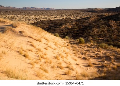 Typical Semi Desert African Wilderness Landscape Stock Photo 1536470471 ...