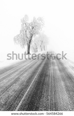 blow snow Landscape Winter