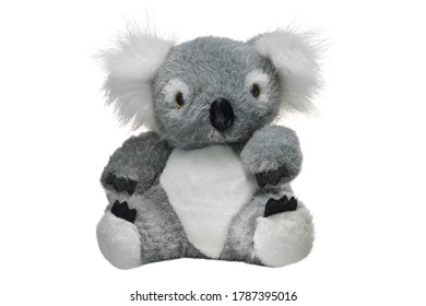 Typical Souvenir From Australia. Soft Toy Koala Bear Isolated On White Background.