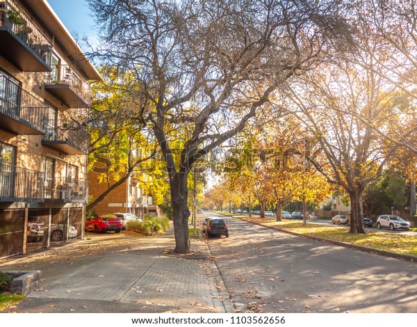 Typical suburban street lined\
with autumn trees on a sunny day. North Melbourne, VIC\
Australia.