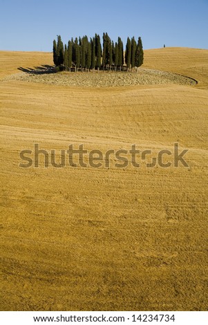 Similar – Image, Stock Photo Combine harvester harvests grain field in the evening light from the air