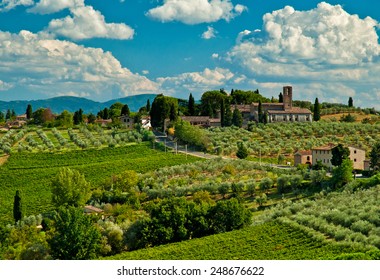 Typical Tuscan landscape with vineyards in Italy