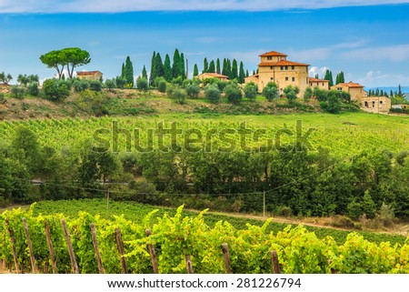 Typical Tuscany stone house with stunning vineyard in the Chianti region,Tuscany,Italy,Europe