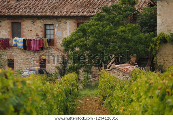 Typical Tuscany stone house\
with vineyard  in the backyard, with dry clothes on the wire, in\
the Chianti\
region,Tuscany,Italy,Europe\
