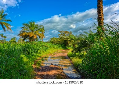 12,799 West african landscape Images, Stock Photos & Vectors | Shutterstock