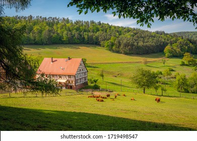 action höchst in odenwald resimleri