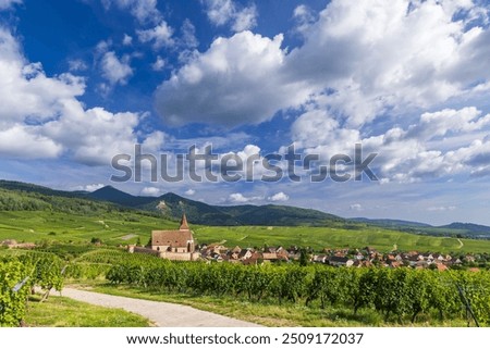 Typical vineyard near Hunawihr near Ribeauville Riquewihr, Haut-Rhin, Region Grand Est, Alsace, France