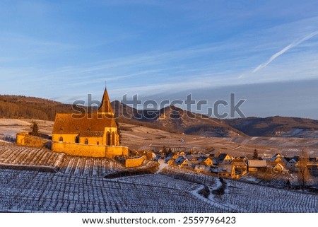 Typical vineyard near Hunawihr near Ribeauville Riquewihr, Haut-Rhin, Region Grand Est, Alsace, France