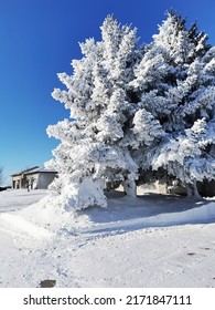 Typical Winter Time In Moose Jaw