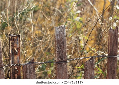 A typical wood slats fence guarding the beach dunes on an autumn day. - Powered by Shutterstock