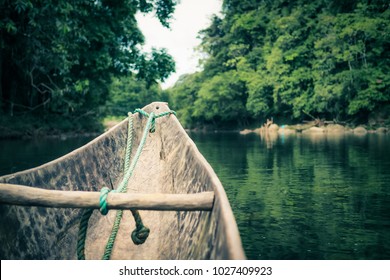 Amazonian Imágenes, fotos y vectores de stock Shutterstock