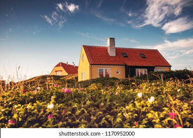 Typical Yellow Holiday House At The Danish Beach With Wild Roses Flowers In Colorful Sunset Sun Light. Coastline Of The Top Of Denmark In Skagen In North Jutland In Denmark, Skagerrak, North Sea