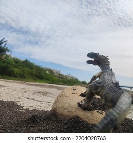 Tyrannosaurus On The Sandy Rock 