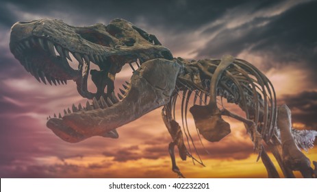 Tyrannosaurus Rex Dinosaur Fossil Extinction. A Tyrannosaurus Rex Dinosaur Fossil Skull Against A Background Of Dark Gloomy Skies, Extinction Event.
