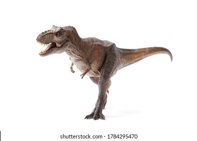 Tyrannosaurus rex dinosaurs toy brown isolated on white background. closeup dinosaur and monster model .