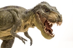 Tyrannosaurus Rex Isolated In White
