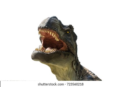 Tyrannosaurus rex on white background