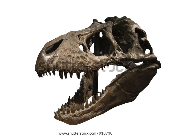 tyrannosaurus rex discovery