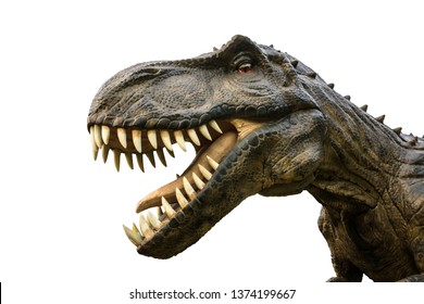 T Rex Skeleton Images Stock Photos Vectors Shutterstock - tyrannosaurus rex skeleton model roblox