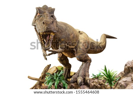 Tyrannosaurus rex . T-rex is walking , growling and open mouth on rock . White isolated background . Embedded clipping paths .