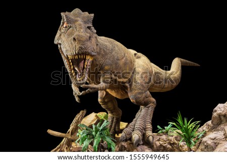 Tyrannosaurus rex . T-rex is walking , growling and open mouth on rock . Black isolated background . Embedded clipping paths .