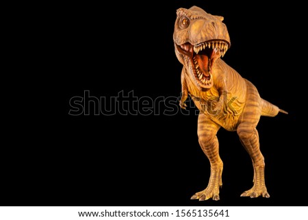 Tyrannosaurus rex ( T-rex ) is walking and open mouth and copy space on left site . Front view . Black isolated background . Dinosaur in jurassic peroid . Embedded clipping paths .