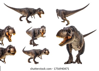 Tyrannosaurus T-rex , Dinosaurier auf weißem Hintergrund .