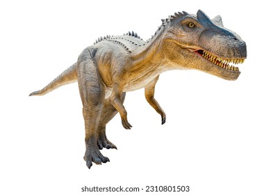 Tyrannosaurus T-rex ,dinosaur on white background Clipping path.  - Powered by Shutterstock