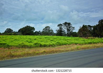 Tyre marks, green grass and stormy clouds - Powered by Shutterstock