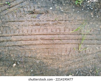 Tyre Tracks On A Muddy Path On A Forest Trail. Muddy Tire Tracks On A Dirt Road.