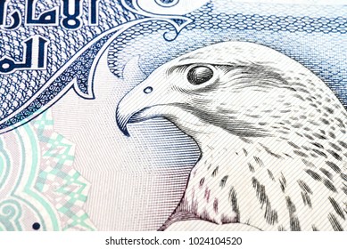 UAE Five Hundred Dirham Close Up Falcon