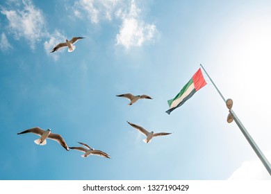 UAE flag waving with birds flying in the beautiful blue sky.  - Powered by Shutterstock