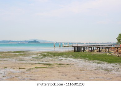 Ubin, Singapore: Chek Jawa