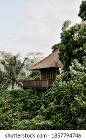 Ubud, Bali / Indonesia- 05.03.2017: The View Of Boutique Luxury Hotel And Resort In The Jungle In Bali, Indonesia. The Lush Green Landscape, Palm Trees, Sky 