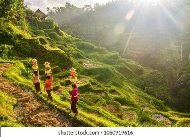 Bali Images Stock Photos Vectors Shutterstock