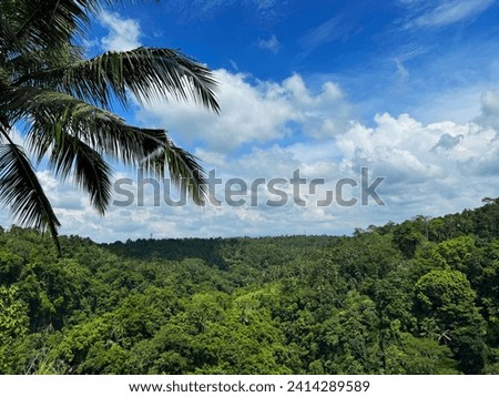 Ubud jungle and nature from resort view in Bali, Indonesia
