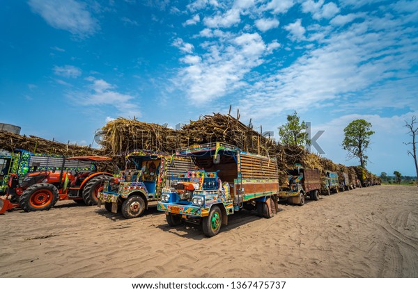 UDON THANI, THAILAND -\
APRIL 3, 2019 : Traditional Thai farming trucks transporting sugar\
cane to the factory.\
Etan Thai Farm Trucks are ubiquitous on\
Isaan\'s rural roads