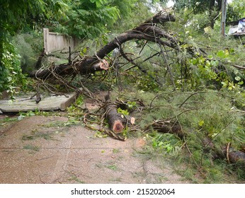 Udonthani, Thailand - SEP 5 : Damaged fallen tree on a rural road after a strong storm. Employees are cutting trees to clear the area on september 5, 2014 in Udonthani, Thailand.